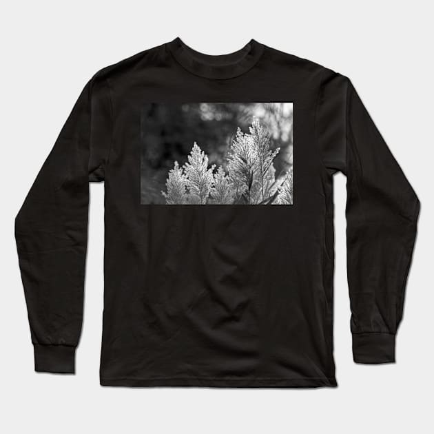 Backlit Long Sleeve T-Shirt by EileenMcVey